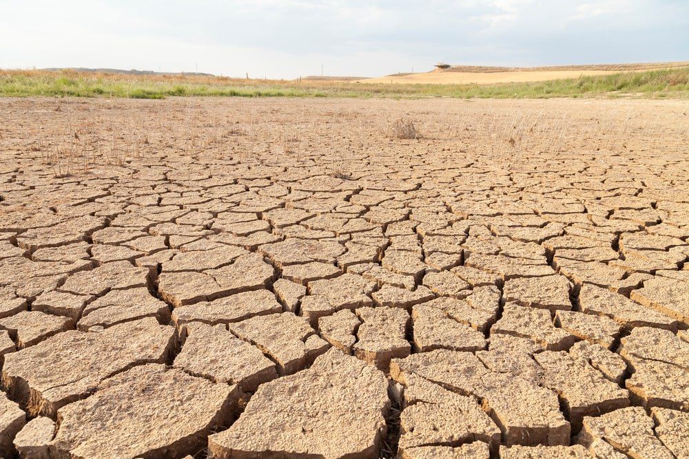 Terre touchée par la sécheresse