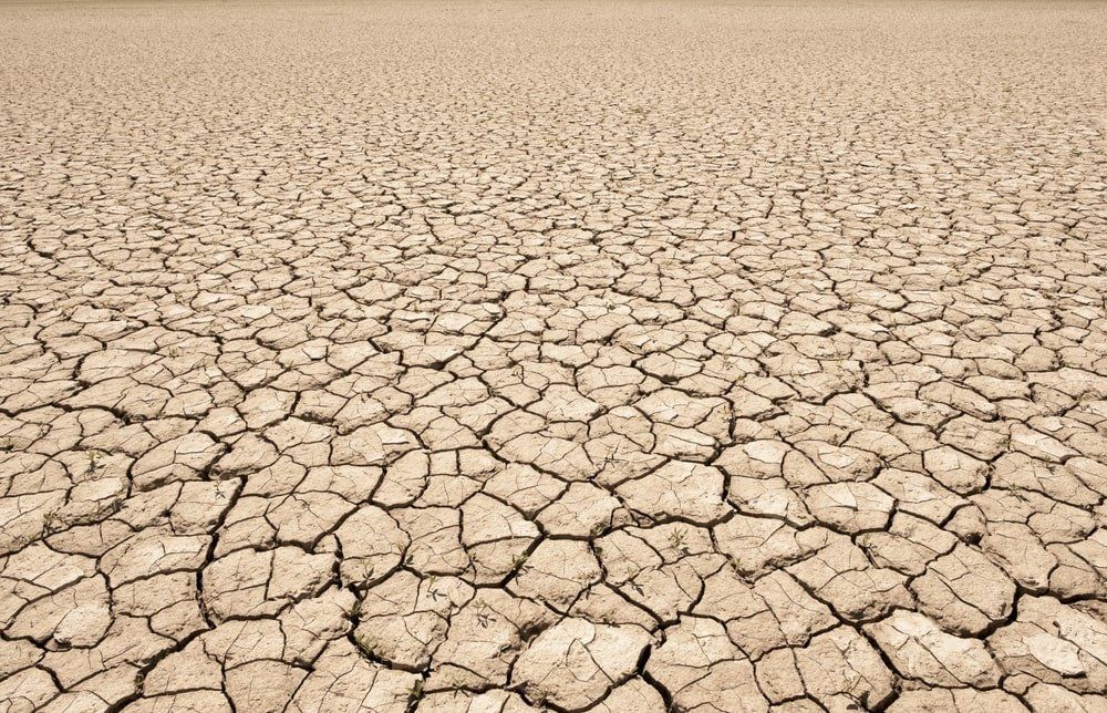Un concept de sol sec et craquelé pour représenter la sécheresse buccale